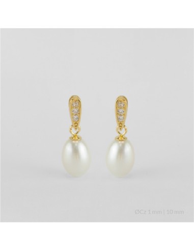 Pendientes de Plata de Ley