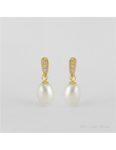 Pendientes de Plata de Ley