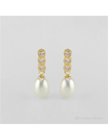 Pendientes de Plata de Ley