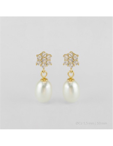 Pendientes de Plata de Ley