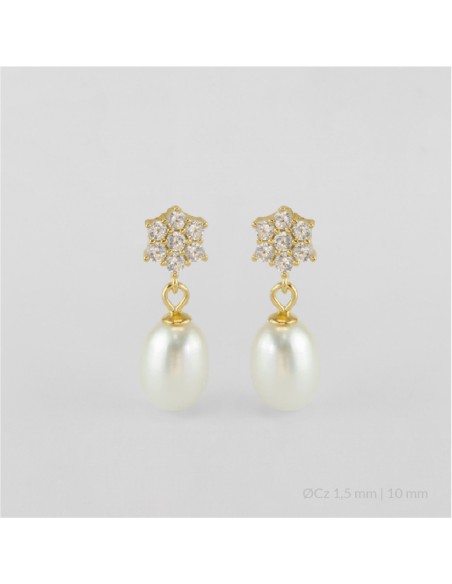 Pendientes de Plata de Ley