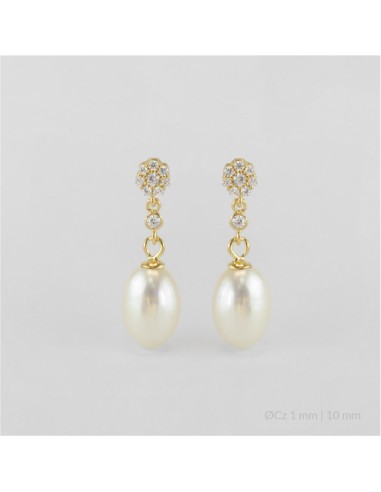 Pendientes de Plata de Ley