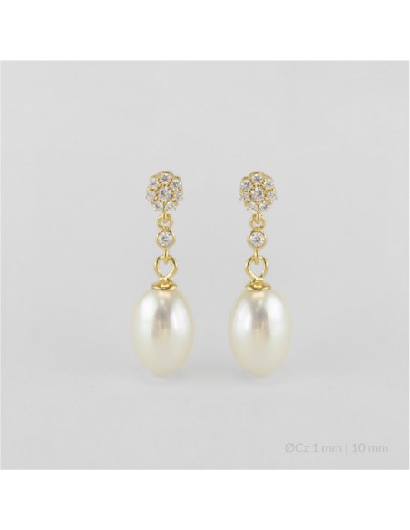 Pendientes de Plata de Ley