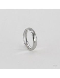 Alianza de Plata de Ley