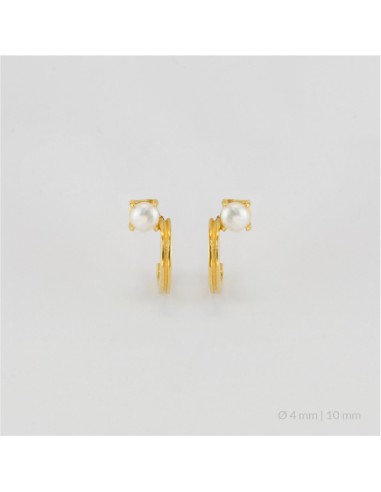 Pendientes de Plata de Ley