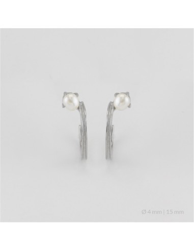 Pendientes de Plata de Ley