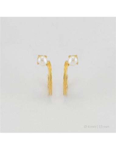 Pendientes de Plata de Ley