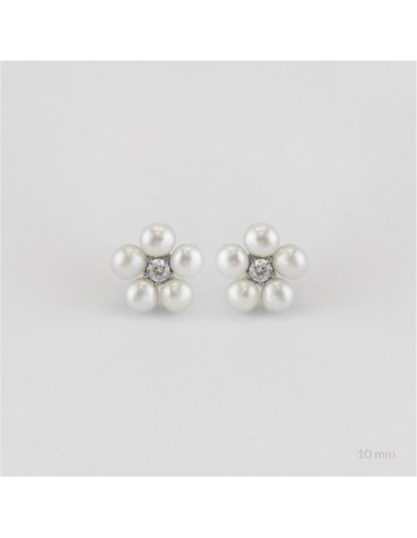 Pendientes de Plata de Ley