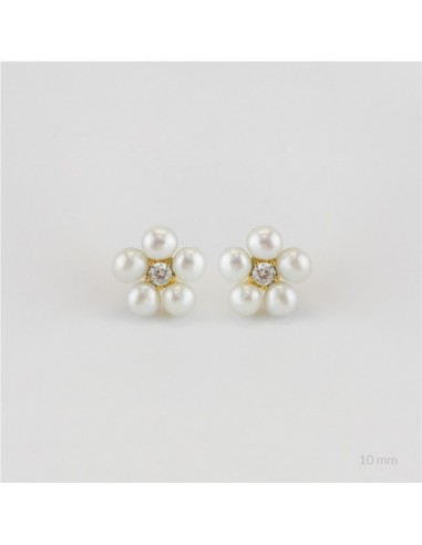 Pendientes de Plata de Ley