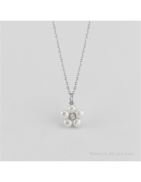 Gargantilla de Plata de Ley