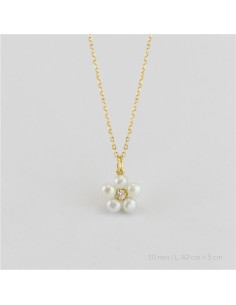 Gargantilla de Plata de Ley