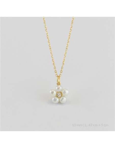 Gargantilla de Plata de Ley